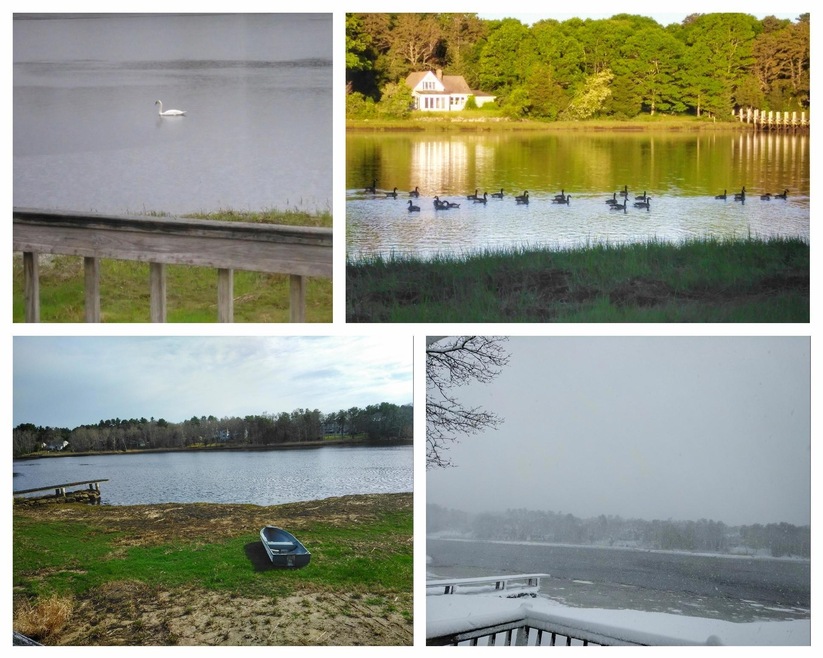 49 Rose Point Ave, Wareham, MA 02576 - photo 1