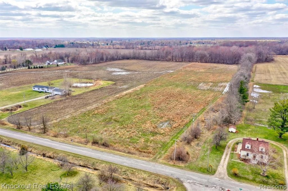 12000 S Block Birch Run Lot-1.jpg