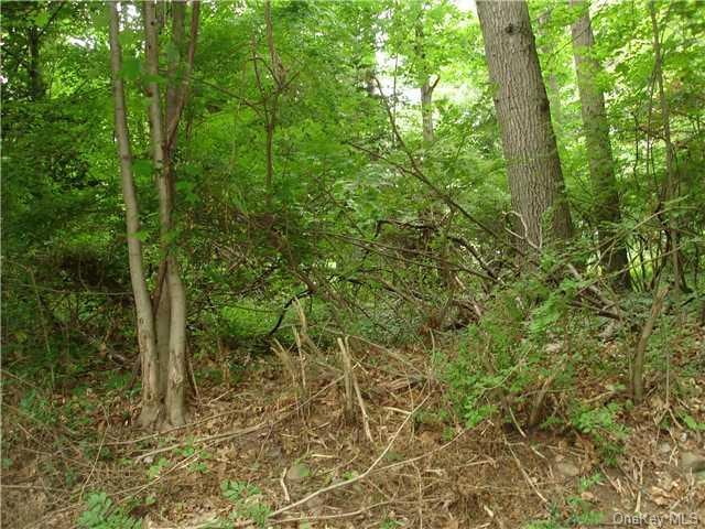 100 Sparkill Ave, Tappan, NY 10983 - photo 1