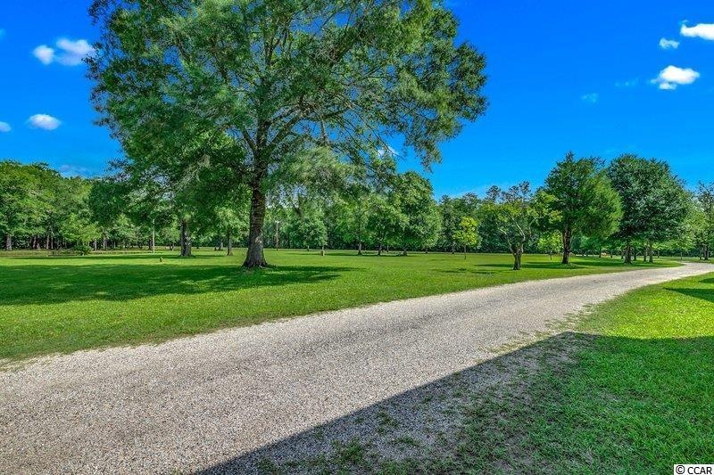 353 Pitch Landing Rd, Conway, SC 29527 - photo 1