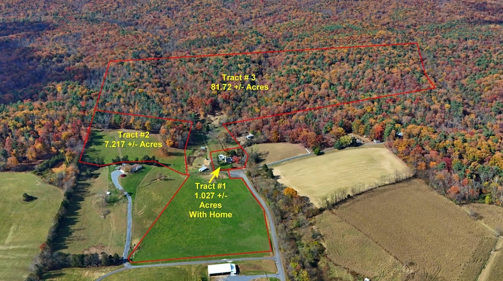 TBD Paradise Ln, Bridgewater, VA 22812 - photo 1