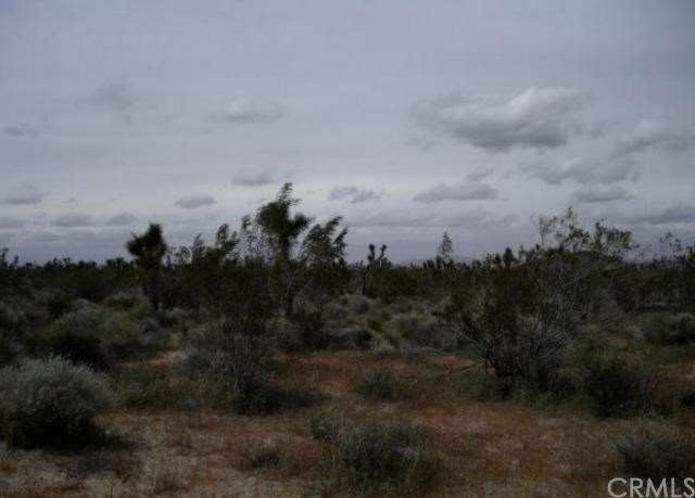 Standing at south of property, looking north acros