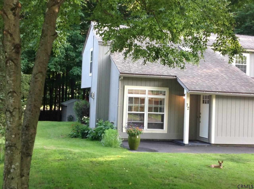 72 Arrow Wood Place, Ballston Spa, NY 12020 - photo 1