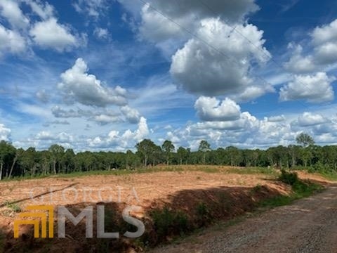 0 Langford Carey Rd unit 20066180, Danielsville, GA 30633 - photo 1