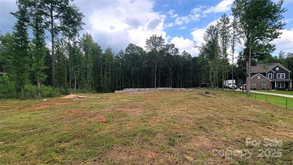 4299 Brandy Creek Ct, Clover, SC 29710 - photo 1