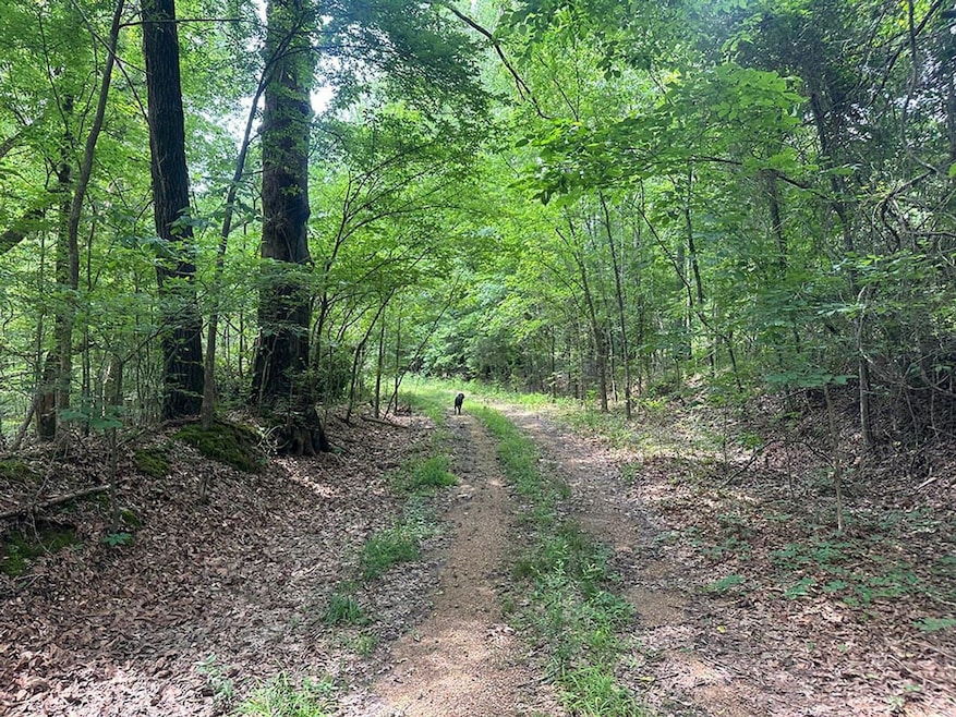 214 Gessler Rd, Benton, MS 39039 - photo 1