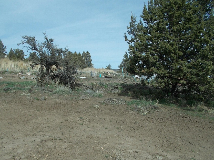 View of Property
