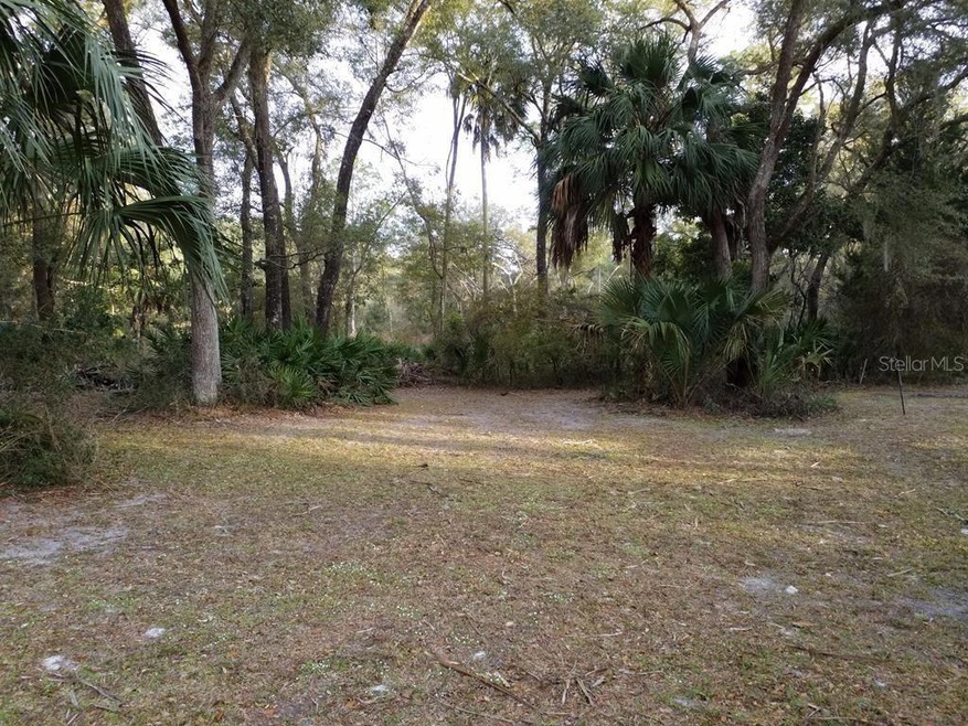 unlisted-address, Manattee Road, FL 32626 - photo 1