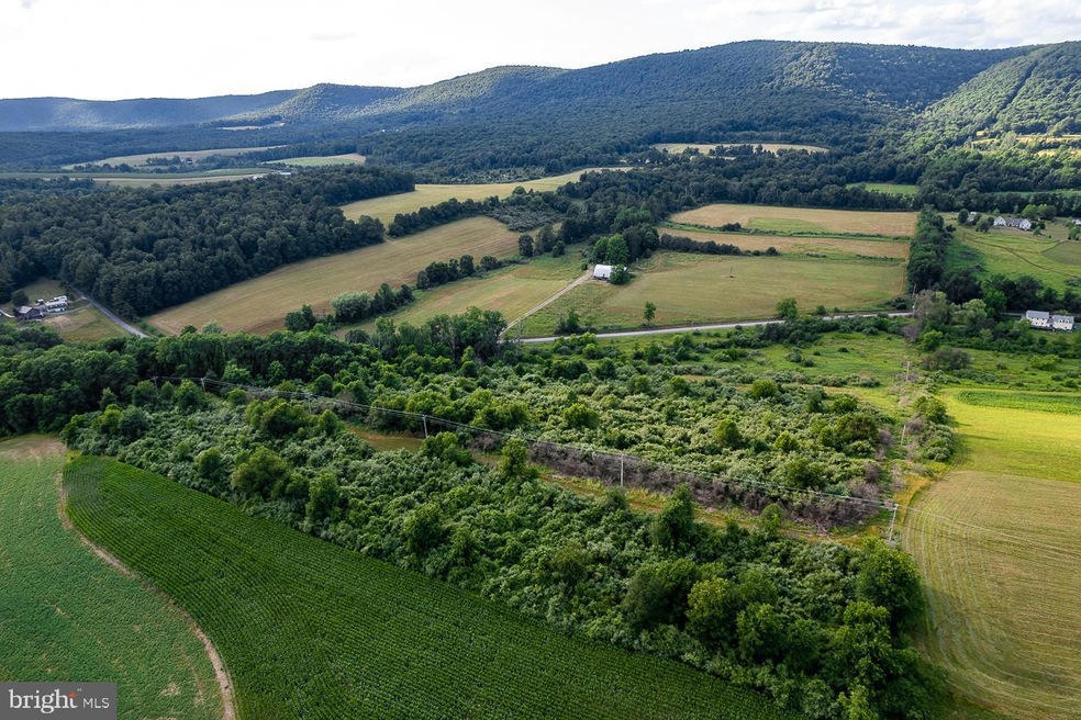 469 Burns Rd, Muncy, PA 17756 - photo 1