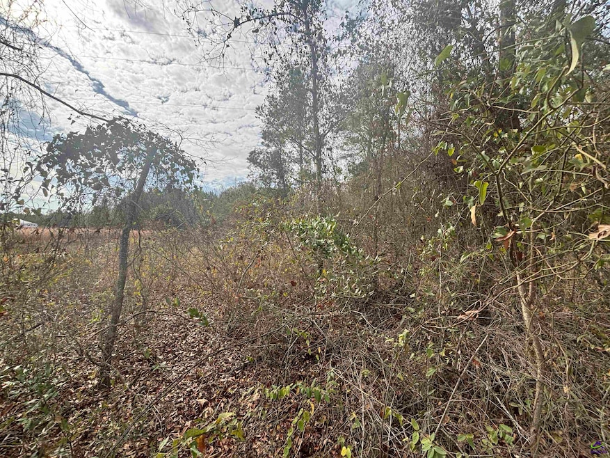 Parcel  A Wiggum Rd & St James Rd, Cochran, GA 31014 - photo 1