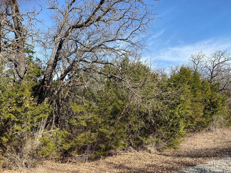 18042 Southhill Dr, Whitney, TX 76692 - photo 1