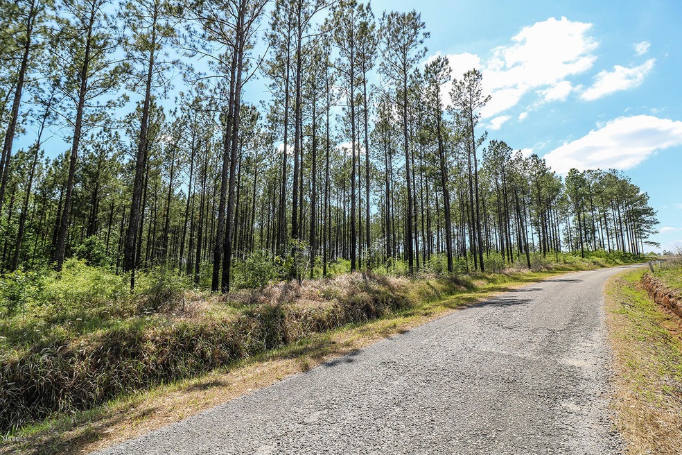 7.29 Acres Homestead Rd, Lucedale, MS 39452 - photo 1