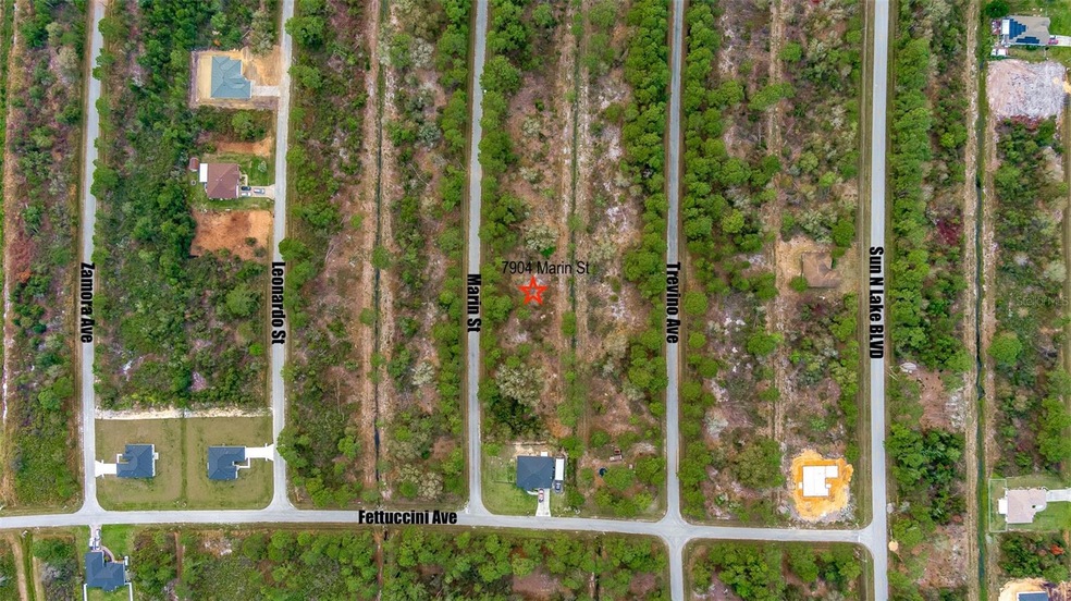 7904 Marin St, Sebring, FL 33872 - photo 1