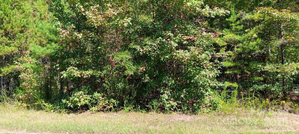 0 First Corriher St unit CAR4301927, China Grove, NC 28023 - photo 1