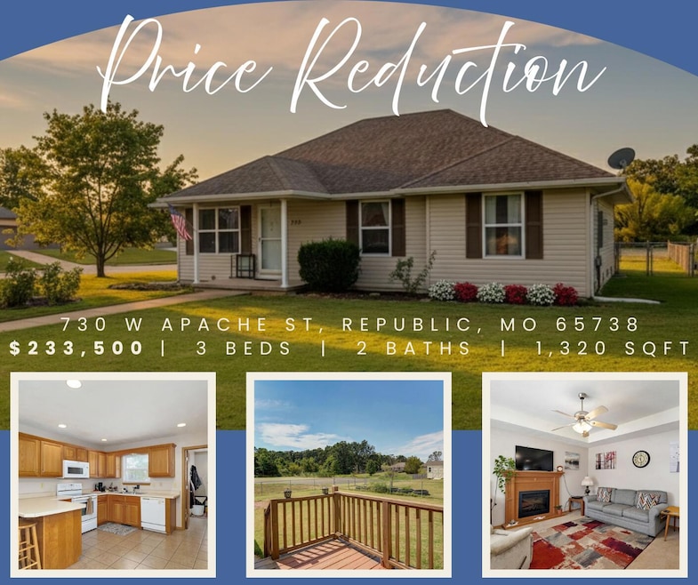 730 W Apache St, Republic, MO 65738 - photo 1