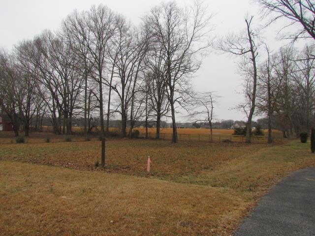 Road frontage  form Wilson Ave to access this beautiful property.