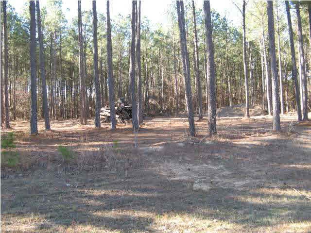 Large corner lot