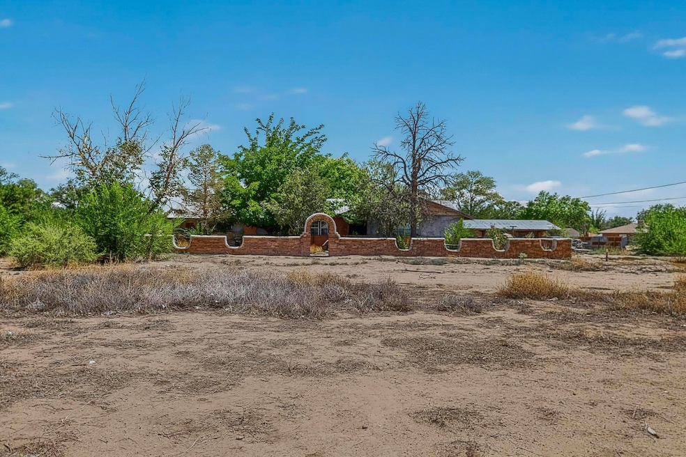 1604 Juan Perea Rd, Los Lunas, NM 87031 - photo 1