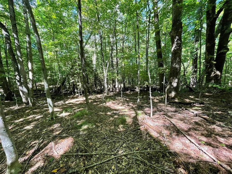 00 Mcmillan Rd, Whitingham, VT 05342 - photo 1