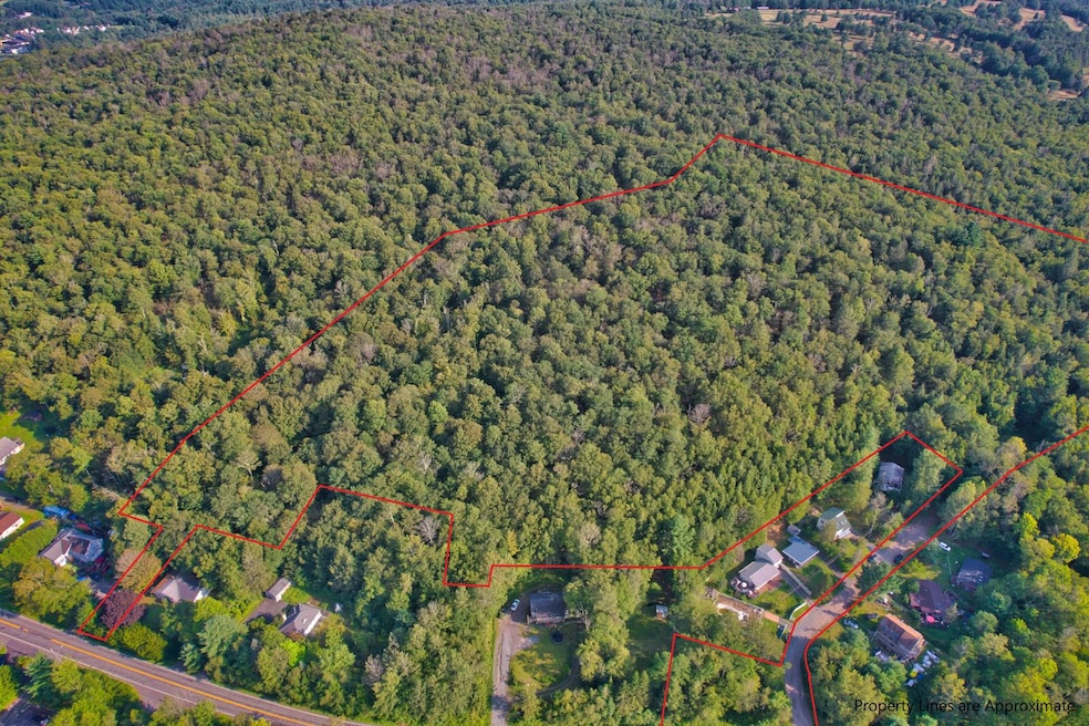 23 Acres property outline