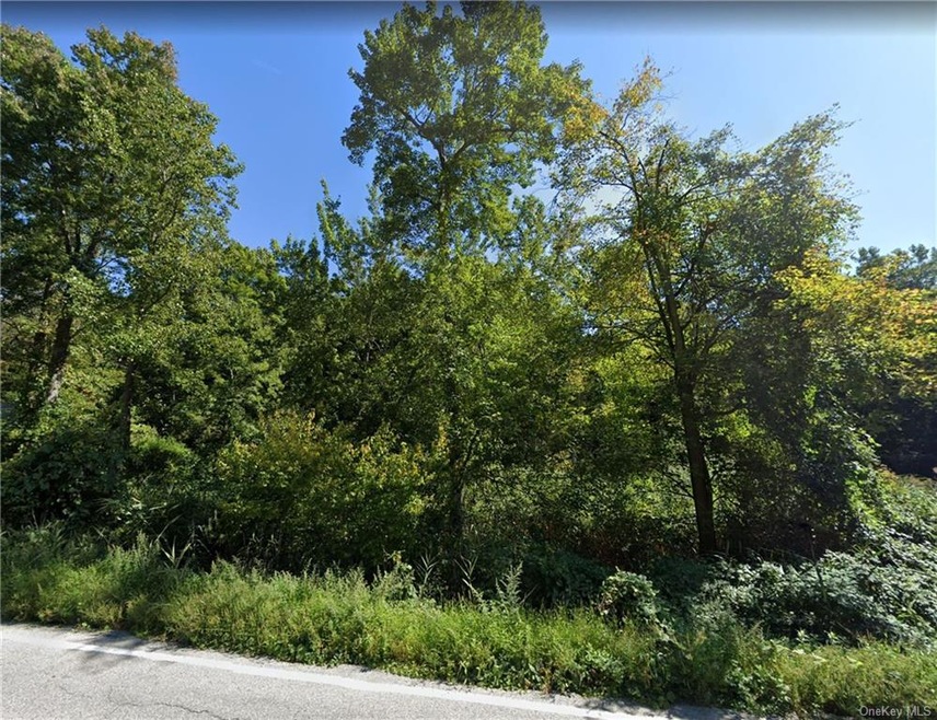 0 E Mt Airy Rd unit H6043441, Cortlandt, NY 10520 - photo 1