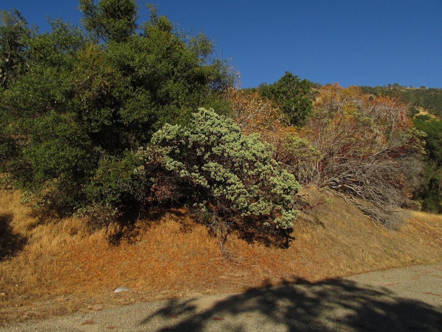 View of property from paved road.
