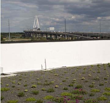 Roof Top