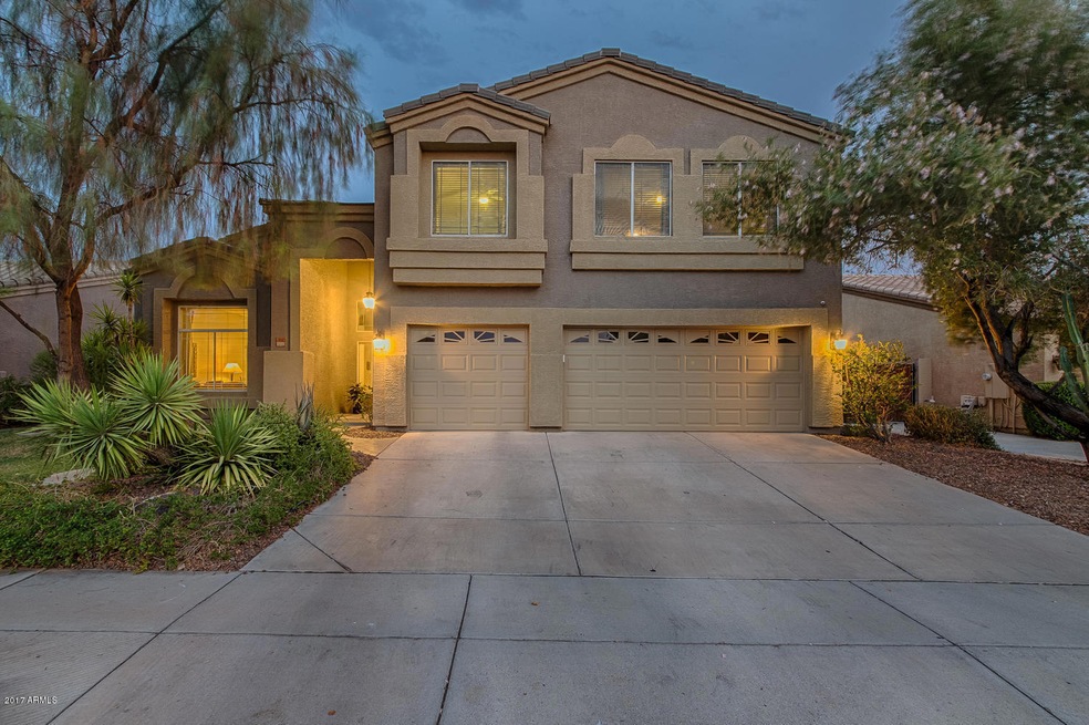 713 S Canfield Mesa AZ 85208-large-001-3