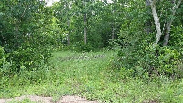 Tract 5 Claryce Ln unit Tract 5, Douglas, GA 31535 - photo 1