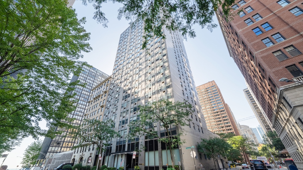 unlisted-address, Chicago, IL 60611 - photo 1