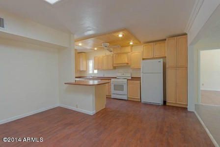 cactus wren kitchen 2