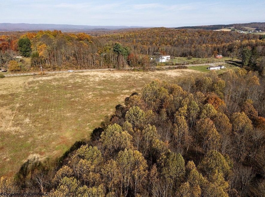 TBD N Preston Hwy, Bruceton Mills, WV 26525 - photo 1
