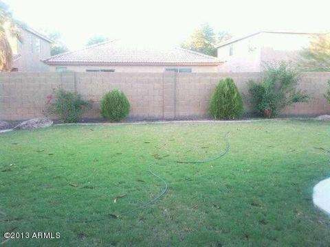 grassy backyard