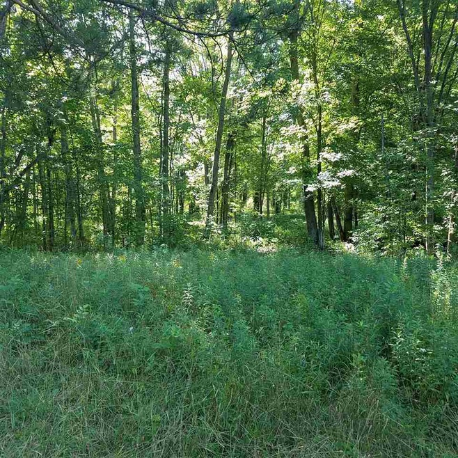 0 Rhodes Rd unit 31391483, Turner, MI 48765 - photo 1