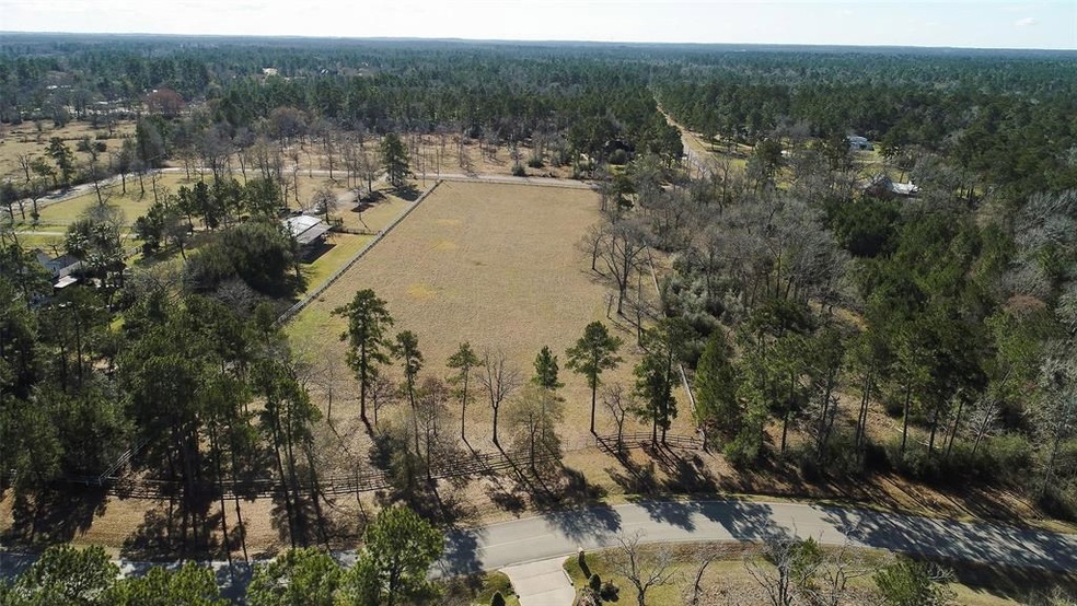 29212 Village Bend, Magnolia, TX 77355 - photo 1