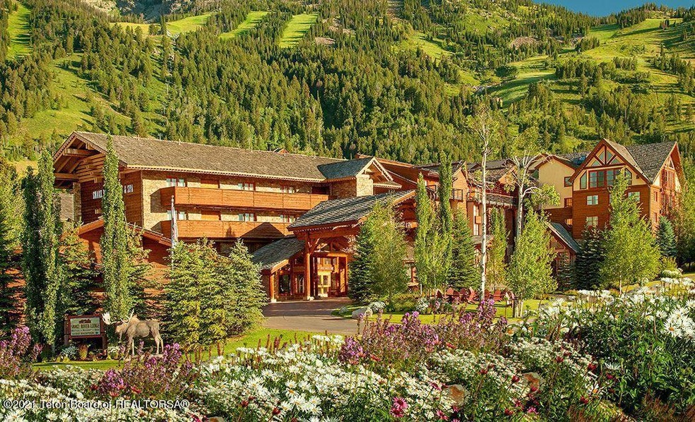 Mountain View Summer