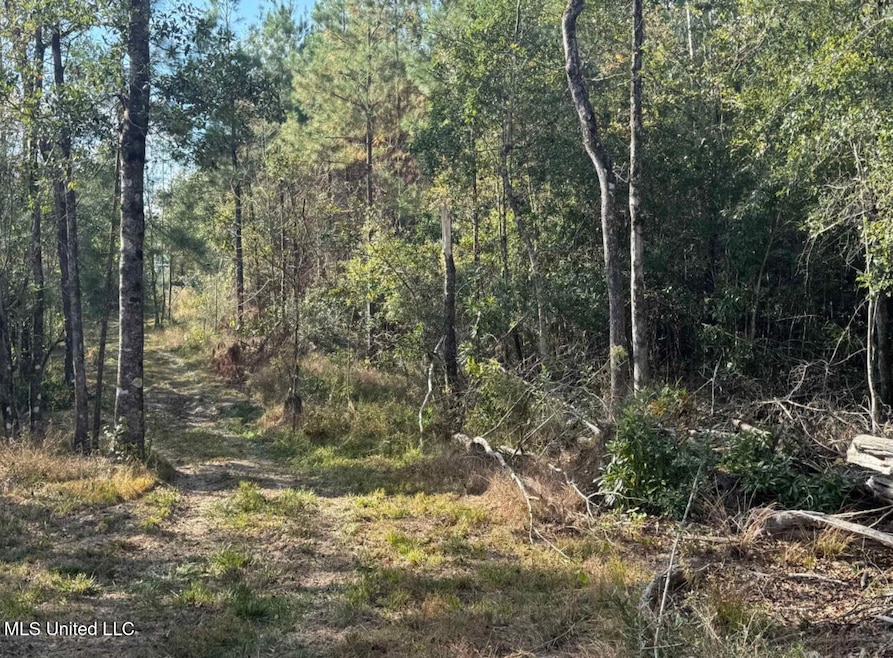 0 J Bailey Rd, Wiggins, MS 39577 - photo 1