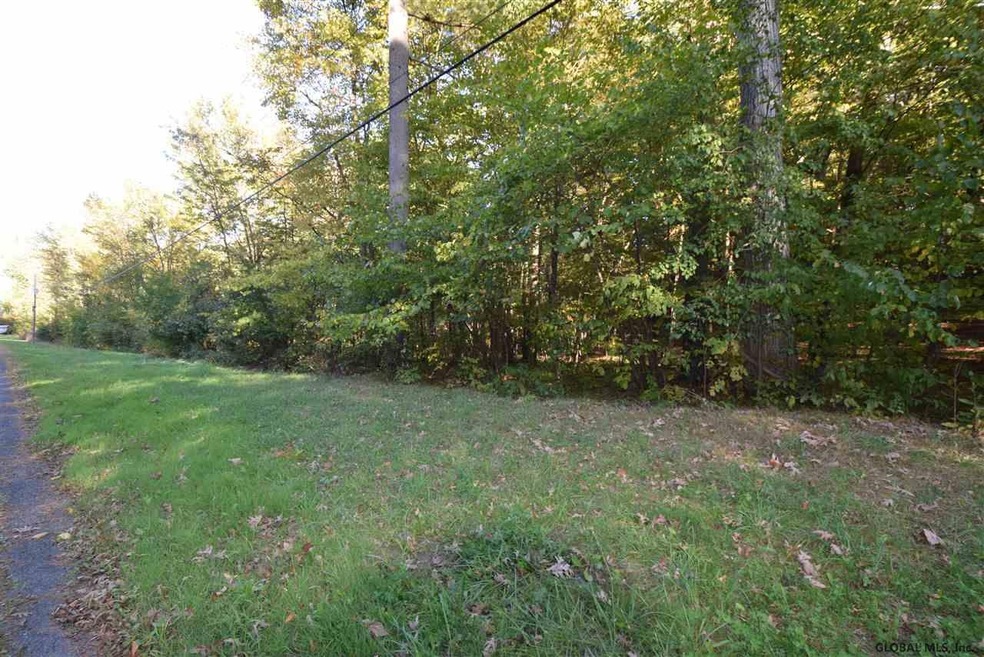 0 Tbd Upper Cady Rd unit 201827580, Chatham, NY - photo 1