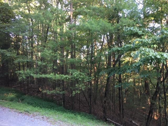 image1 (1)
