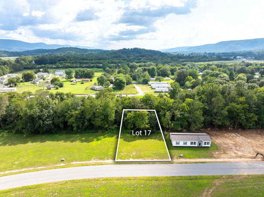 397 Angel Oak Dr, Dunlap, TN 37327 - photo 1