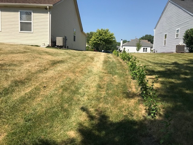 811 N Commonwealth Ave, Aurora, IL 60506 - photo 1