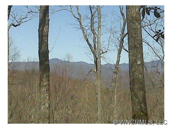Blue Ridge Parkway View