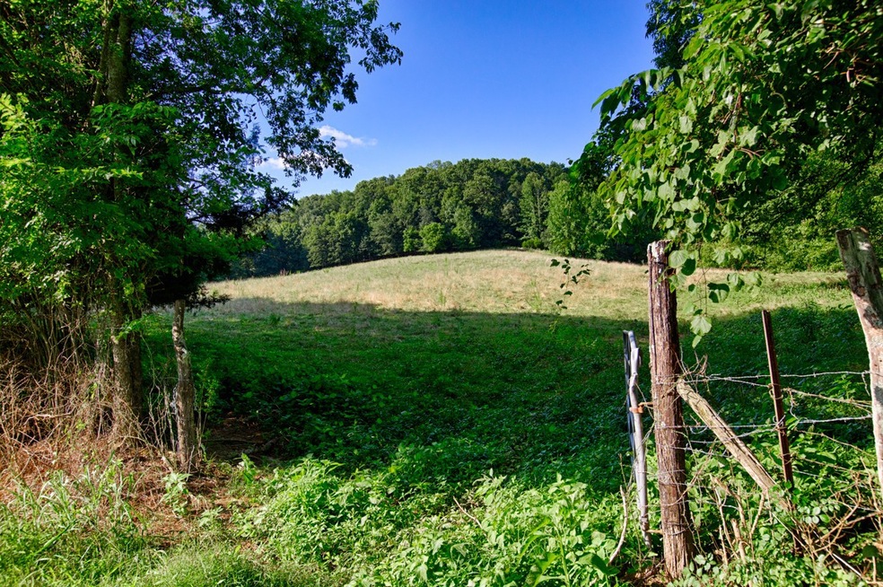 1 Shoal Creek Rd, Goodspring, TN 38460 - photo 1