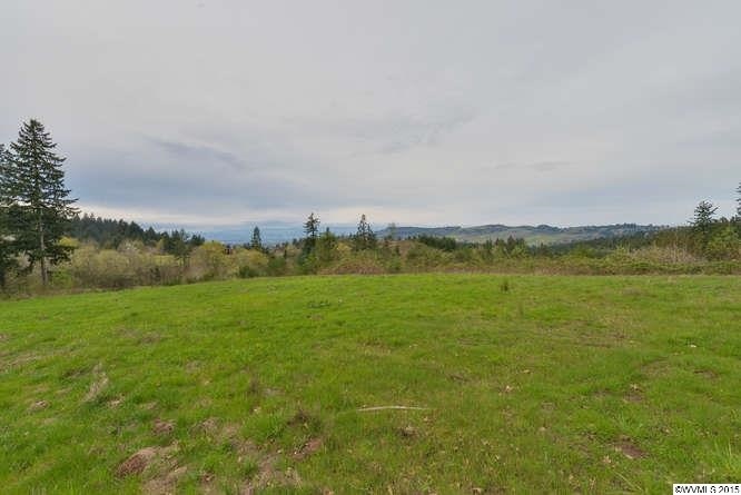 - SE Eola Hills Rd, Amity, OR 97101 - photo 1
