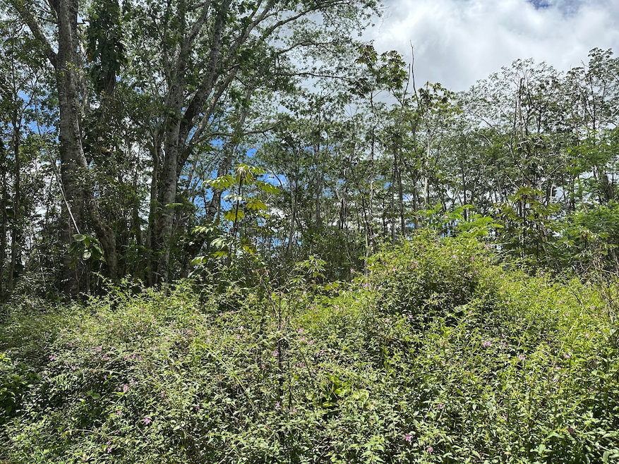 Affordable lot in Nanawale Estates!