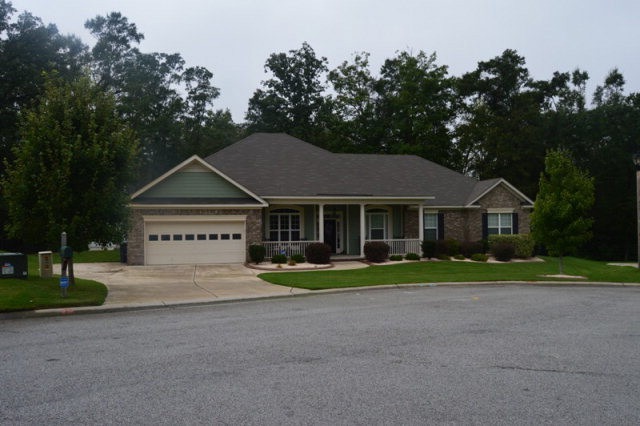 Main View