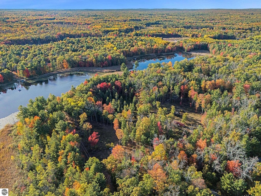 00 S Emma Ave, Pleasant Plains Township, MI 49304 - photo 1
