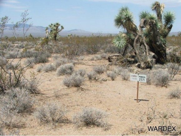 Par 2571 Wyatt Earp Rd, Yucca, AZ 86438 - photo 1