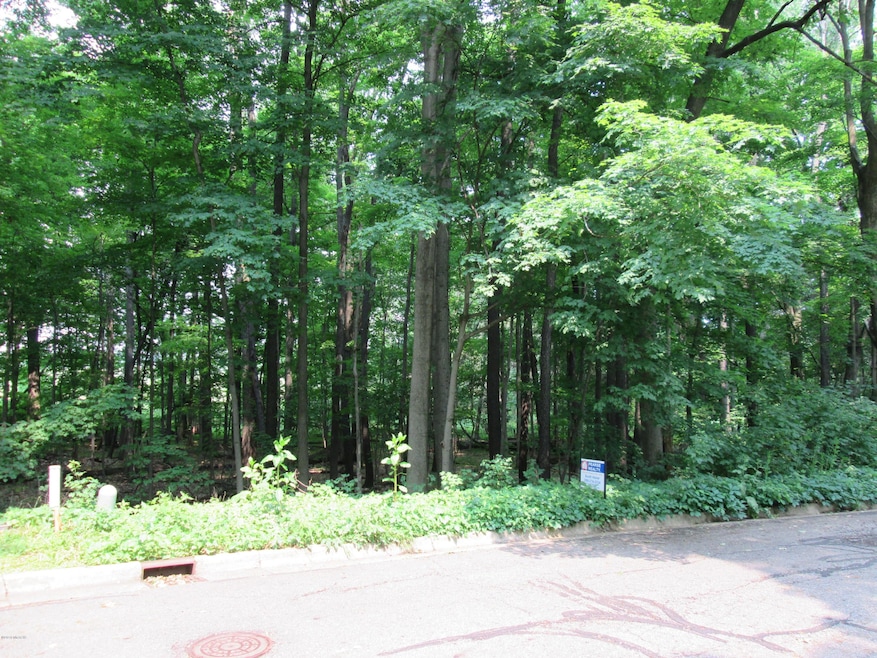 Wooded Lane 015