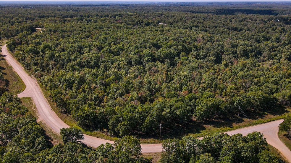 000 Winchester Ridge Rd, Tunas, MO 65764 - photo 1